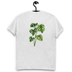 Monstera Classic