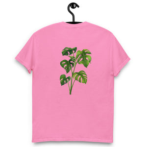 Monstera Classic