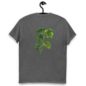 Monstera Classic