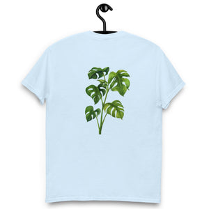 Monstera Classic