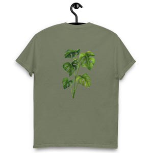 Monstera Classic