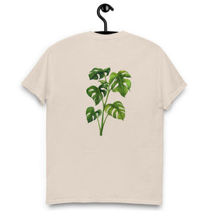 Monstera Classic