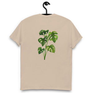 Monstera Classic