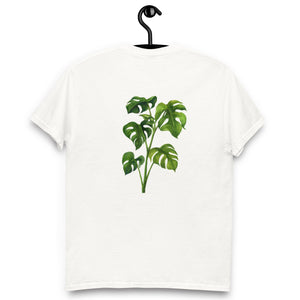 Monstera Classic