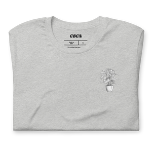 Monstera T