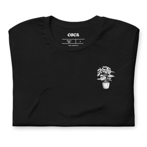 Monstera T