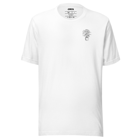 Monstera T